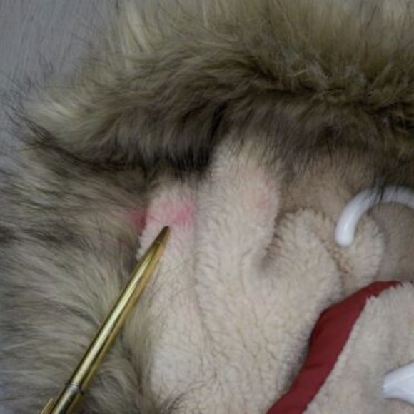 Lauren Ralph Lauren Women's Puffer Jacket Down Insulated Faux Fur Hood Coat S - Picture 7 of 12